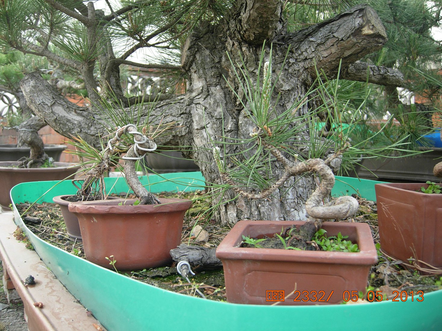 DSCN6864.JPG