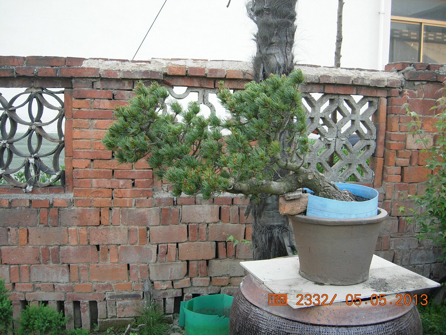 DSCN6865.JPG