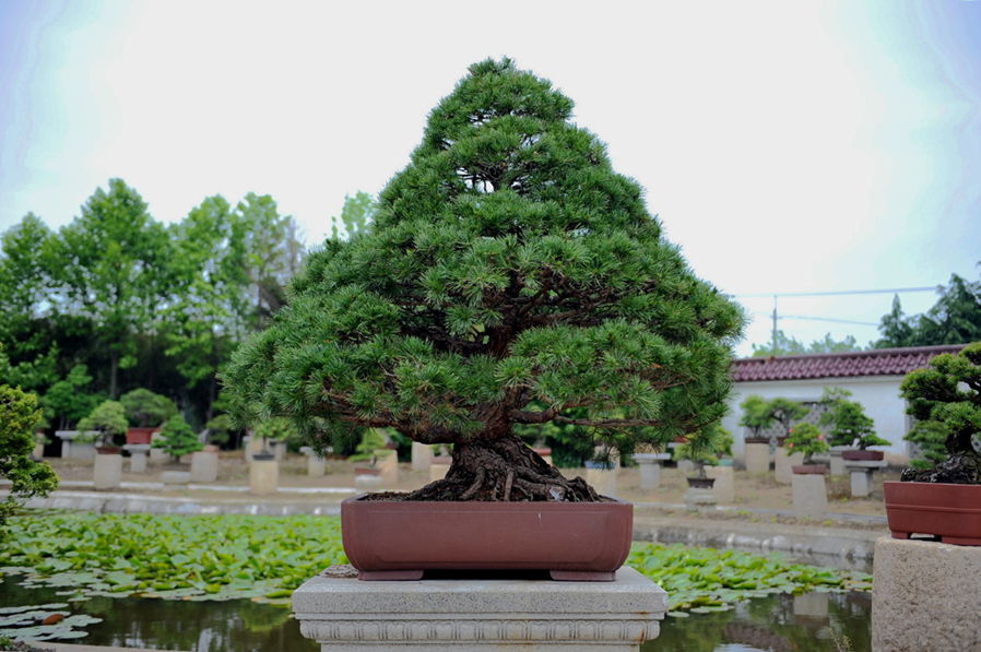 DSC_1248__.jpg