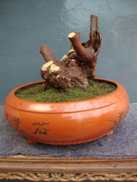 DSC05050.JPG