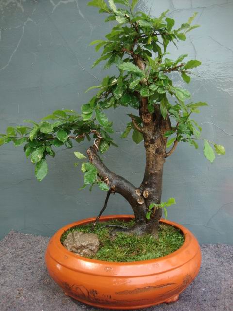 DSC05061.JPG