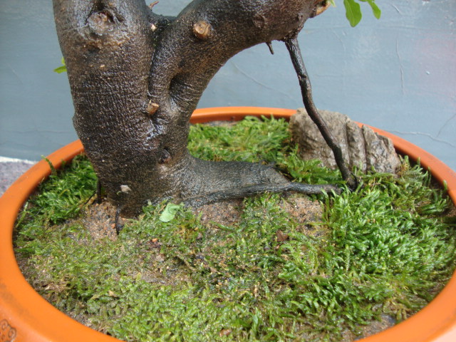 DSC05070.JPG