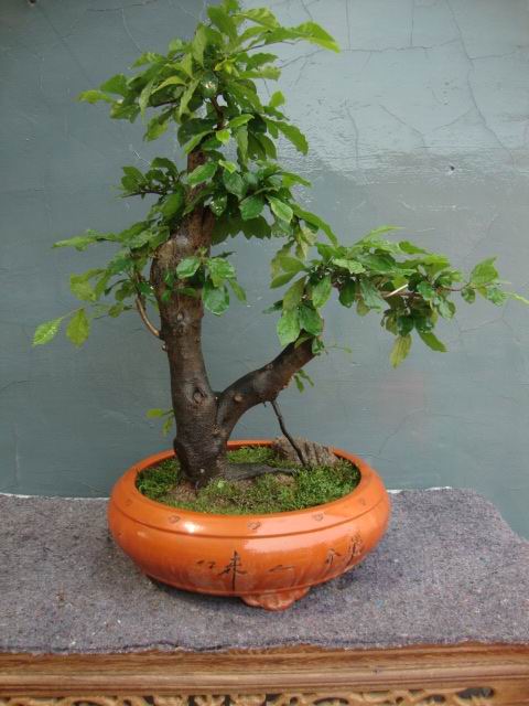 DSC05072.JPG