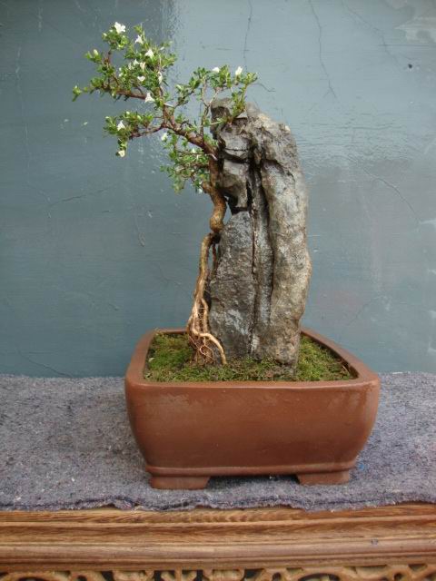 DSC05079.JPG