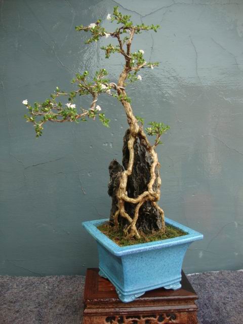 DSC05091.JPG