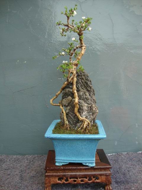 DSC05092.JPG