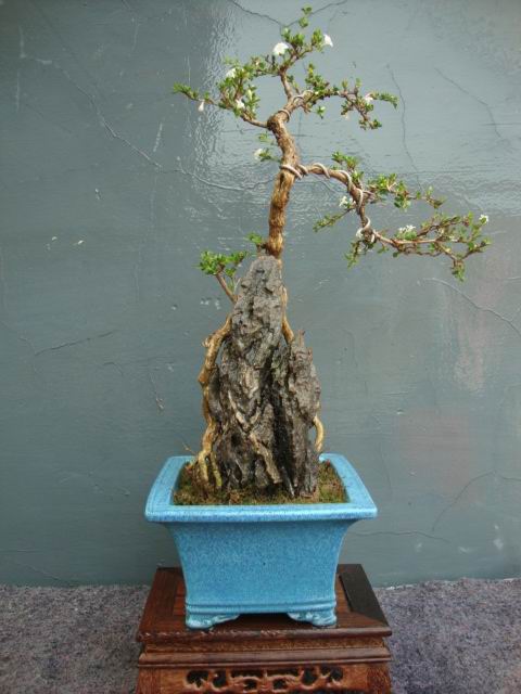 DSC05093.JPG