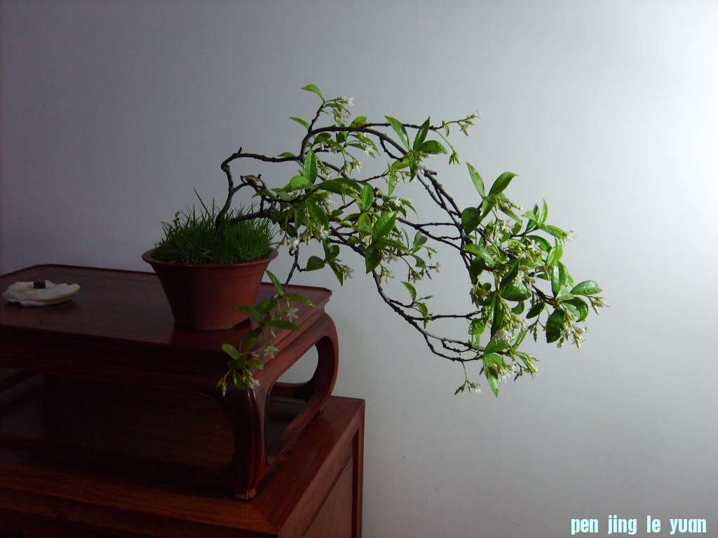 S5003136.JPG
