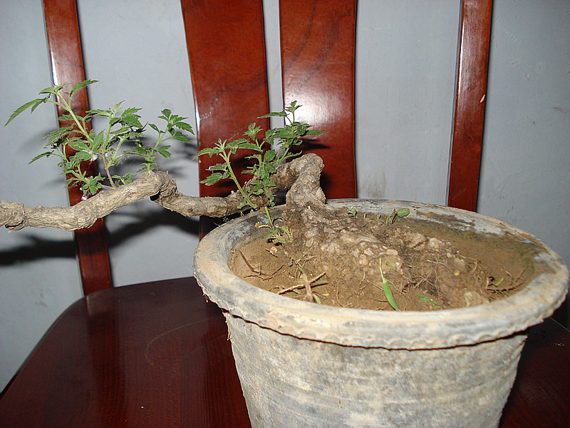 DSC05390_.jpg