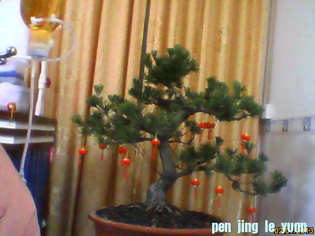 image201302070003.jpg