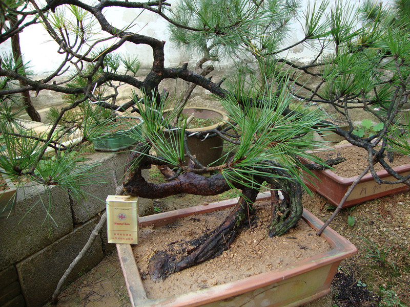DSC00902_.jpg