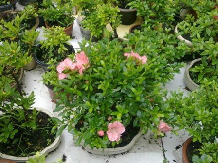 20130517047.jpg