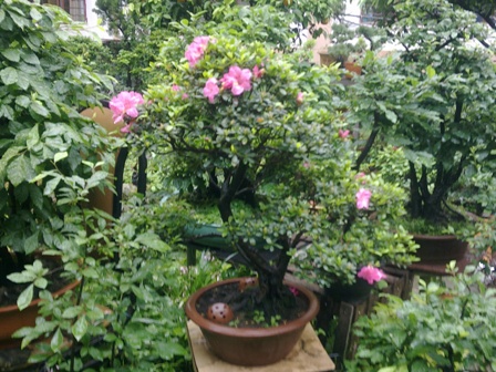 20130517051.jpg