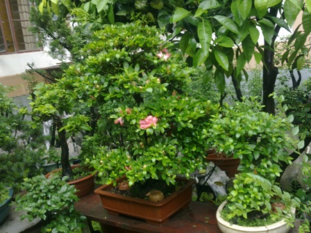 20130517053.jpg