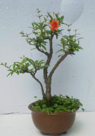 20130517042.jpg