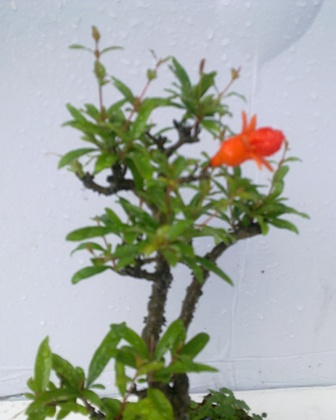 20130517043.jpg