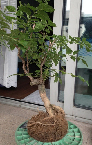 QQͼƬ20130517161841.jpg