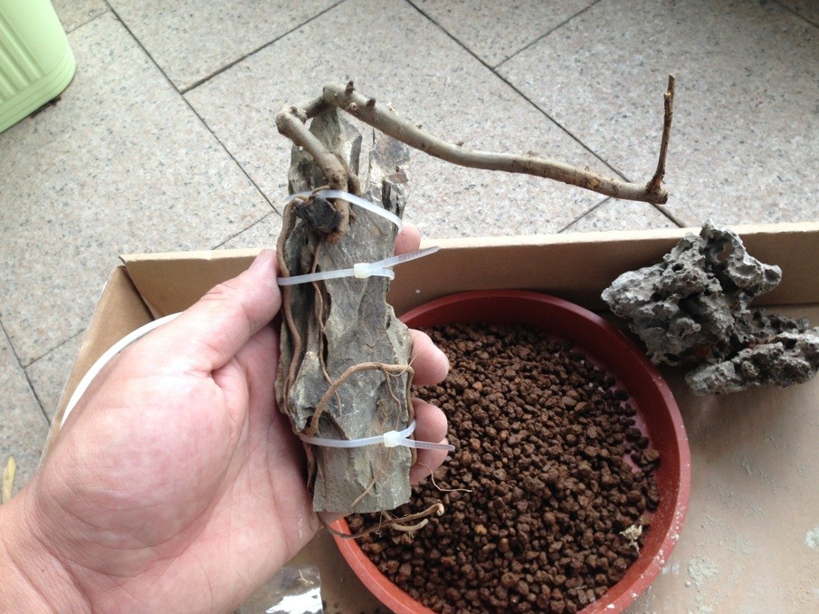 QQͼƬ20130517161908.jpg