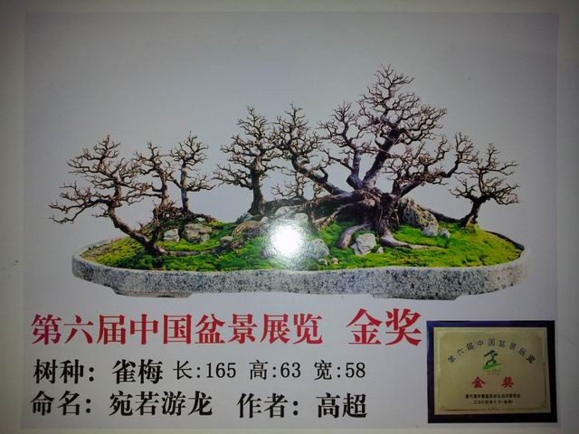 С 20130517_133141.jpg