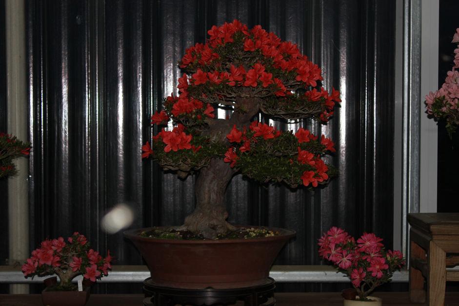 Ƭ 016.jpg