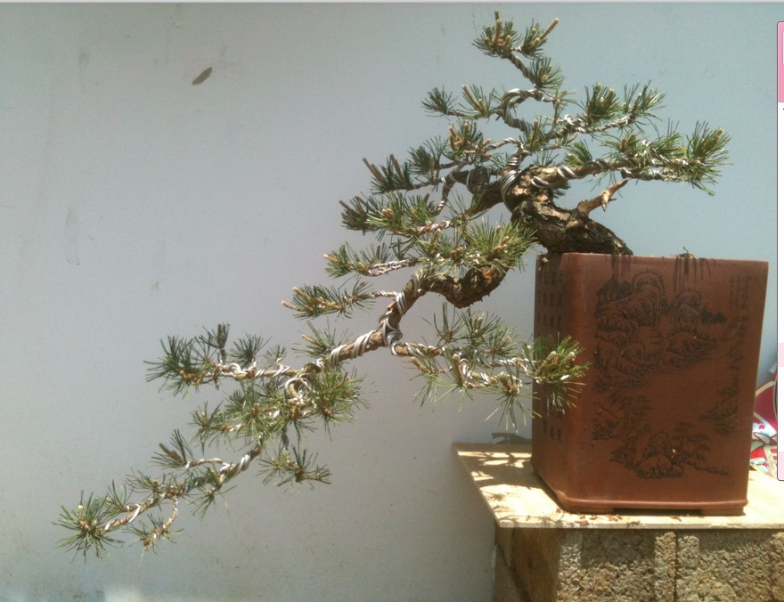 QQͼƬ20130517192645.jpg