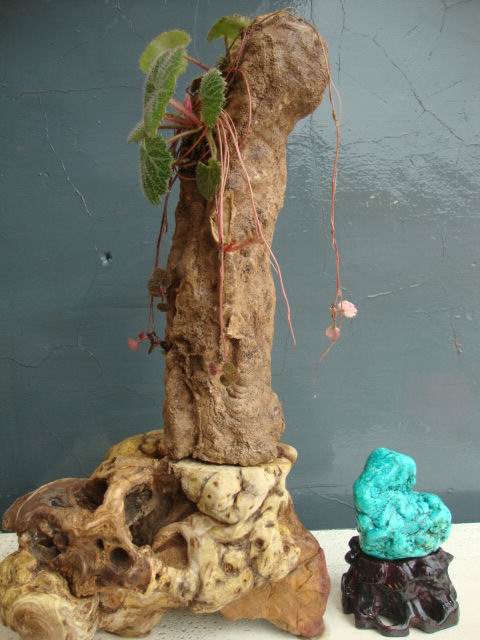 DSC05220.JPG
