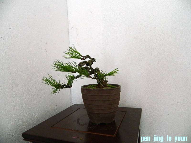 Ƭ 005.jpg