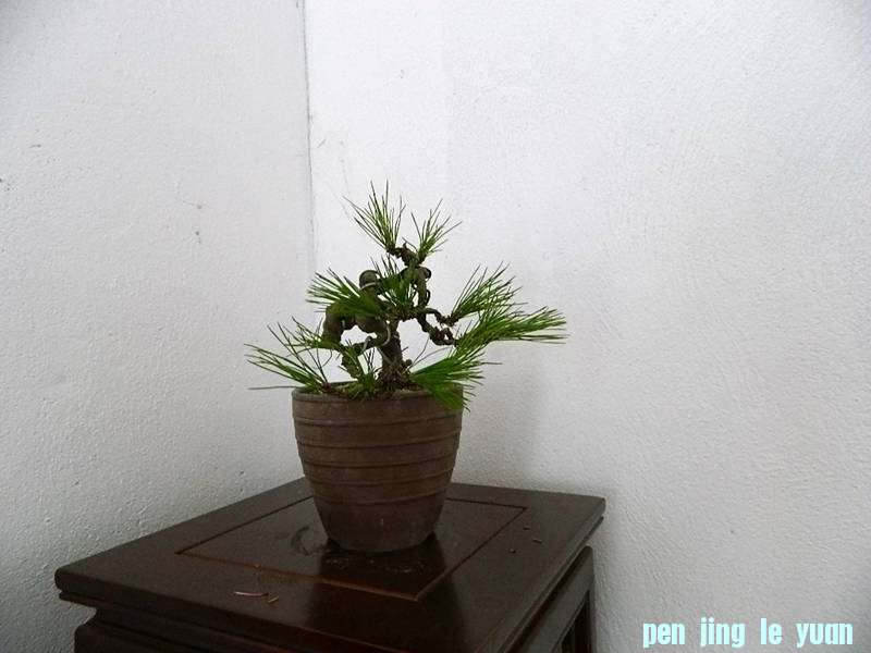 Ƭ 006.jpg