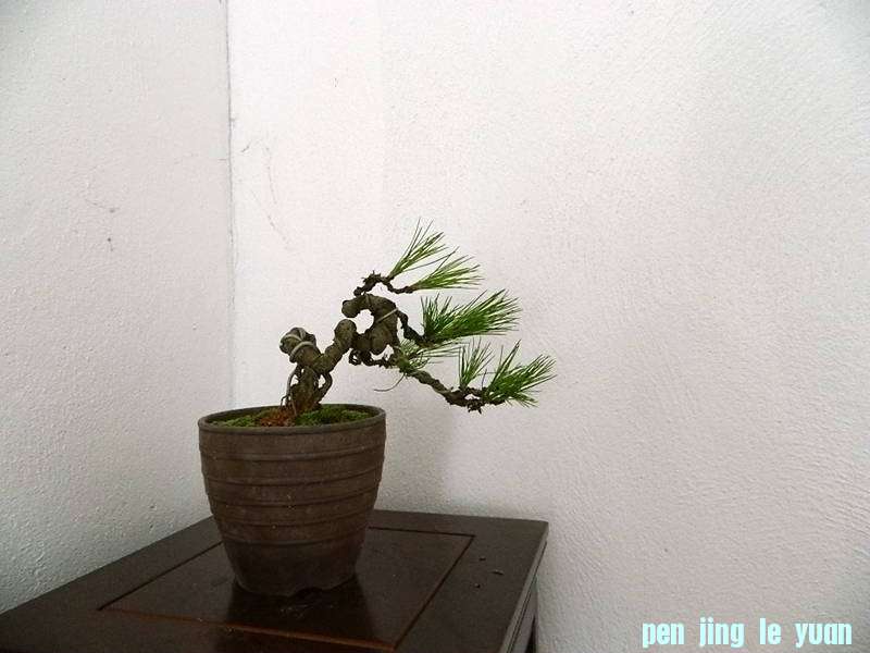 Ƭ 003.jpg