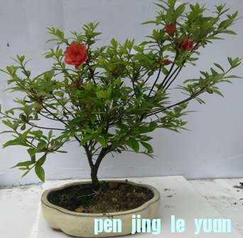 20130518057.jpg