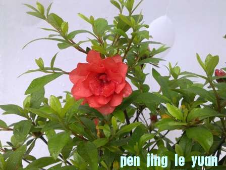 20130518058.jpg
