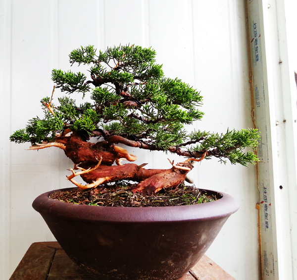 20130519_163019.jpg