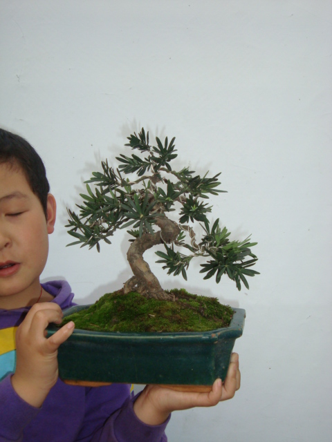 DSC07063.jpg