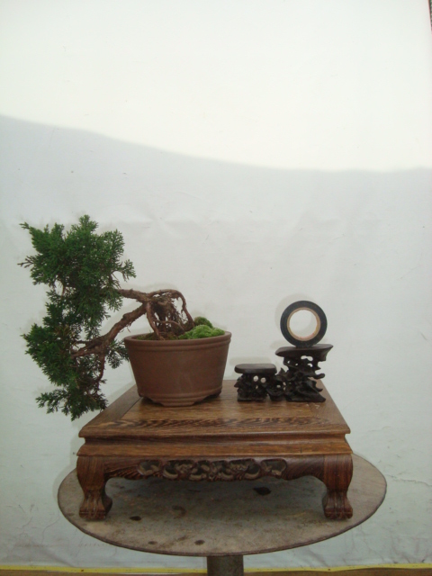 DSC07055.jpg