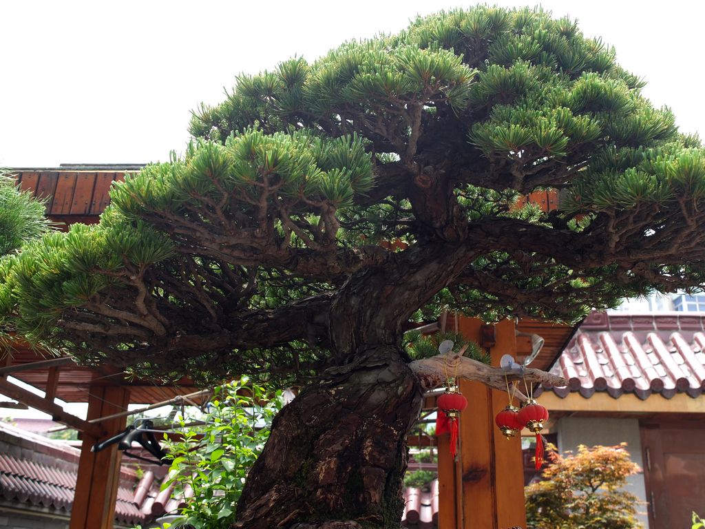 DSCF0122.jpg