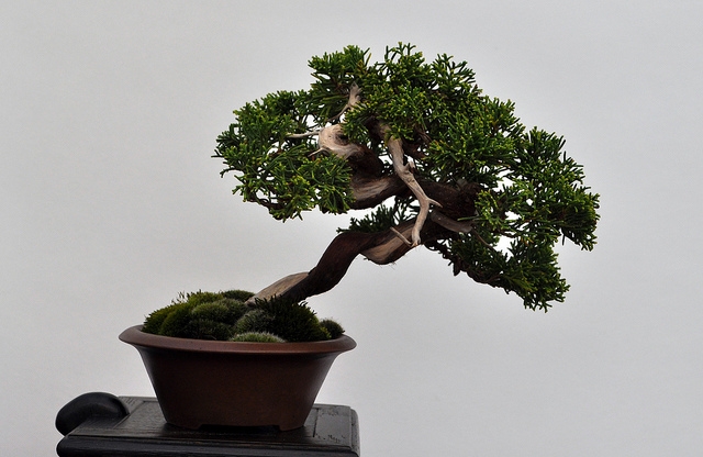 BSA 6th annual exhibition march 2012 037.jpg