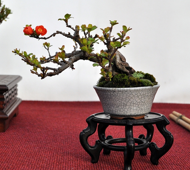 BSA 6th annual exhibition march 2012 047.jpg