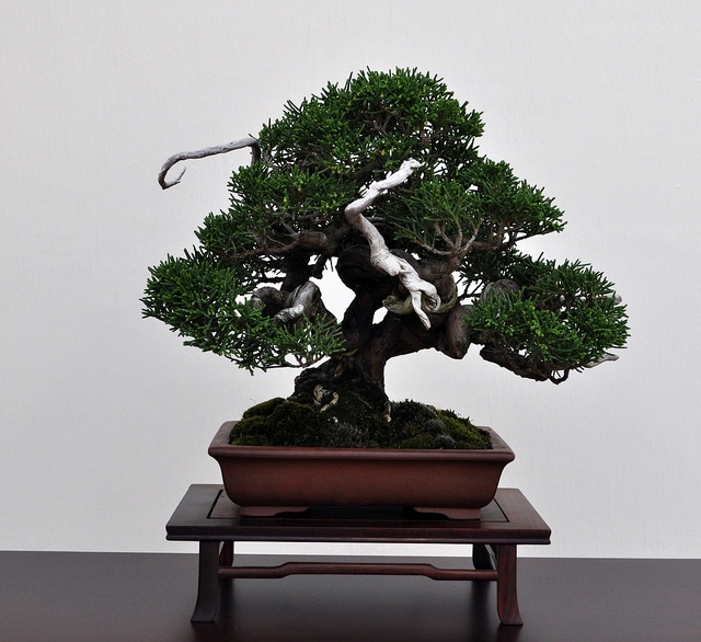 BSA 6th annual exhibition march 2012 096.jpg