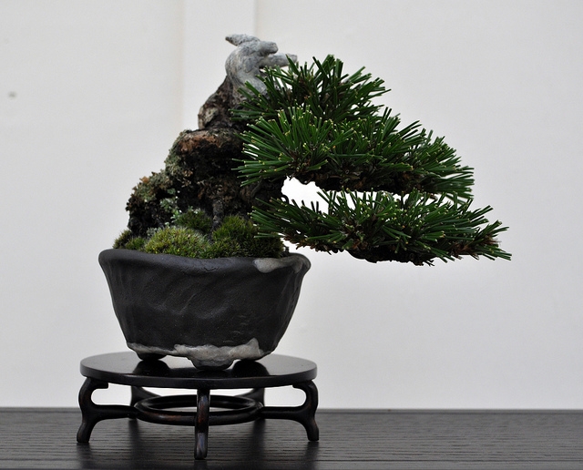 BSA 6th annual exhibition march 2012 104.jpg