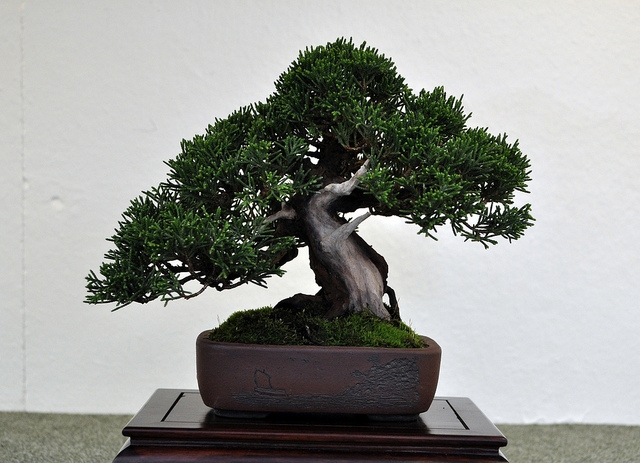 BSA 6th annual exhibition march 2012 122.jpg