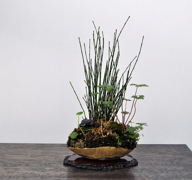 BSA 6th annual exhibition march 2012 130.jpg