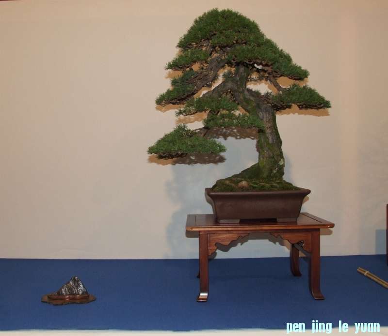 Noelanders Trophy XIV 19-01-2013 019.jpg