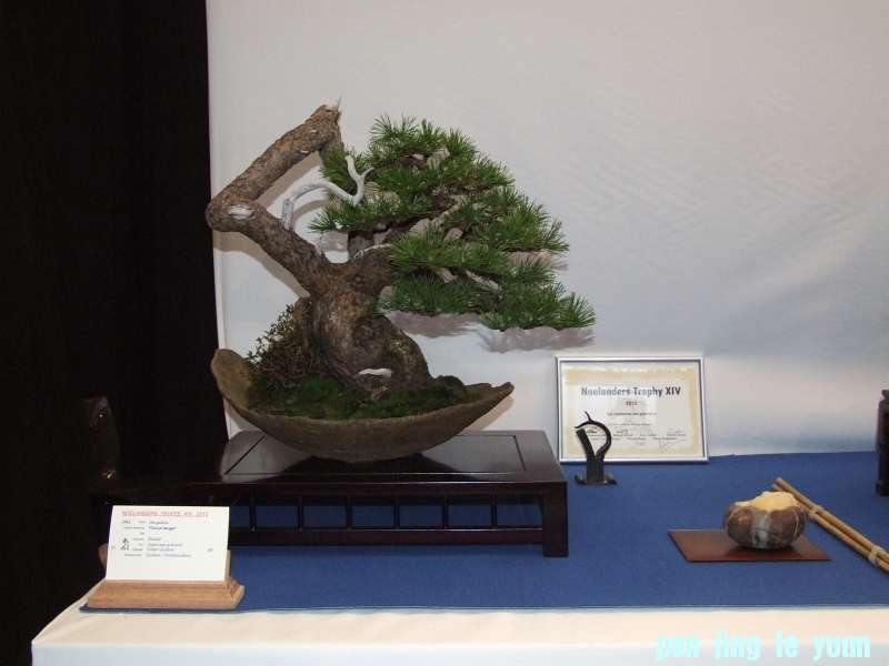 Noelanders Trophy XIV 2013 19-01-2013 395b.jpg