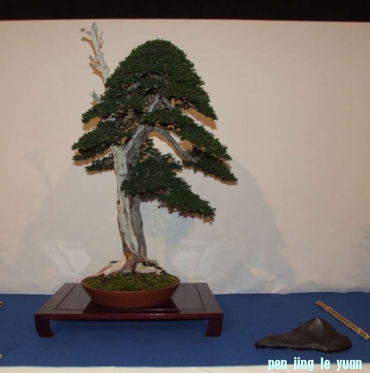 Noelanders Trophy XIV 2013 19-01-2013 429.jpg
