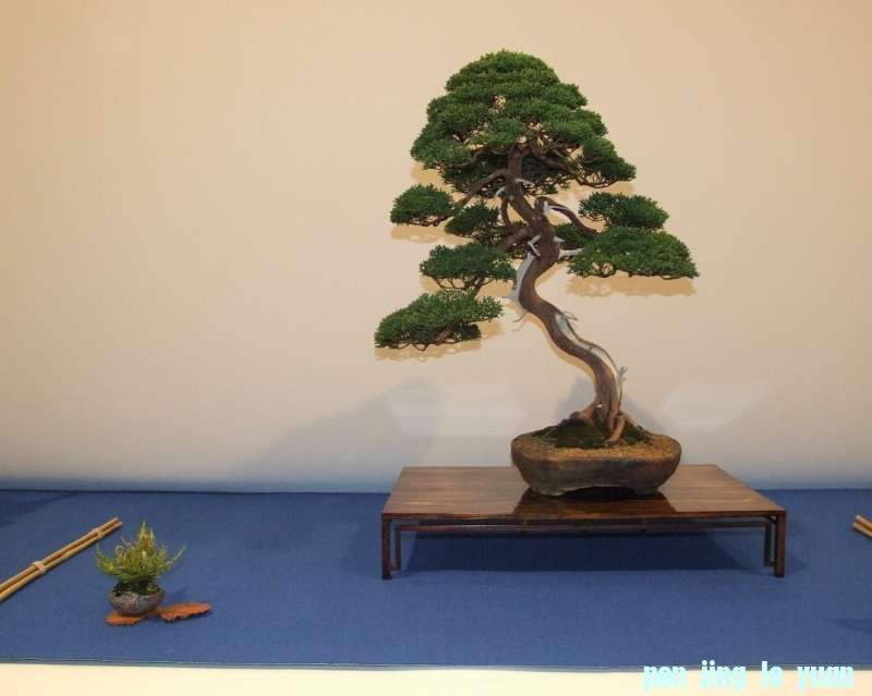 Noelanders Trophy XIV 2013 19-01-2013 452.jpg