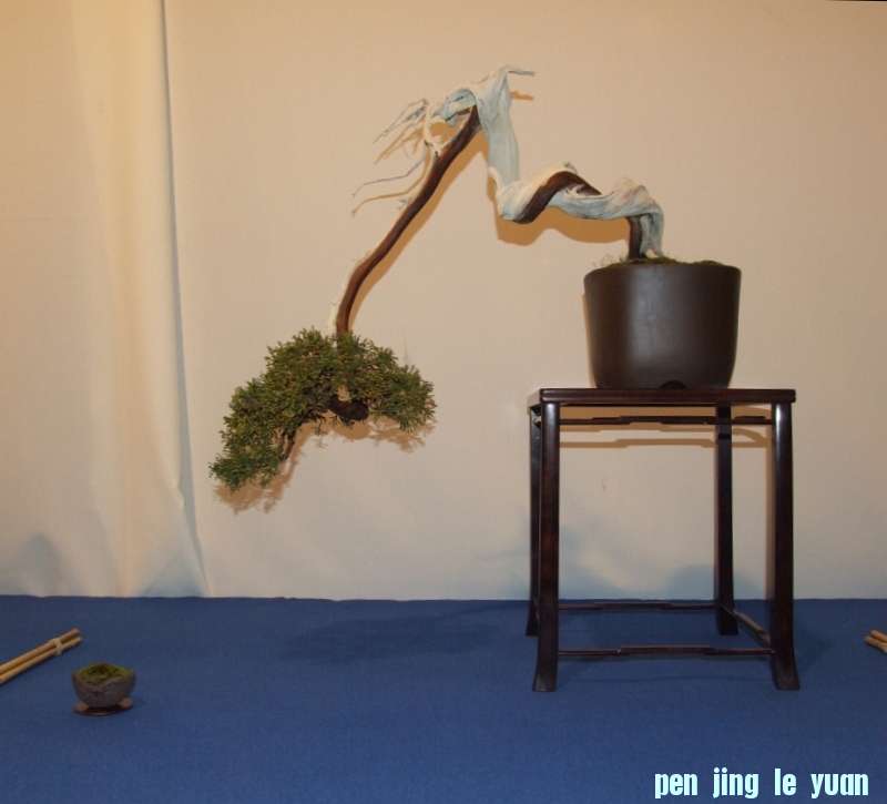 Noelanders Trophy XIV 2013 19-01-2013 466.jpg