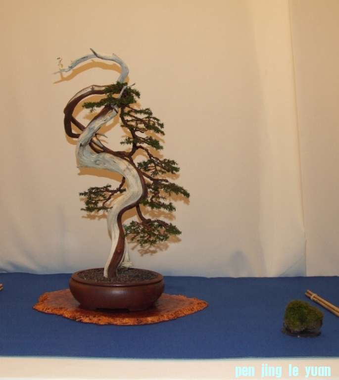 Noelanders Trophy XIV 2013 19-01-2013 469.jpg