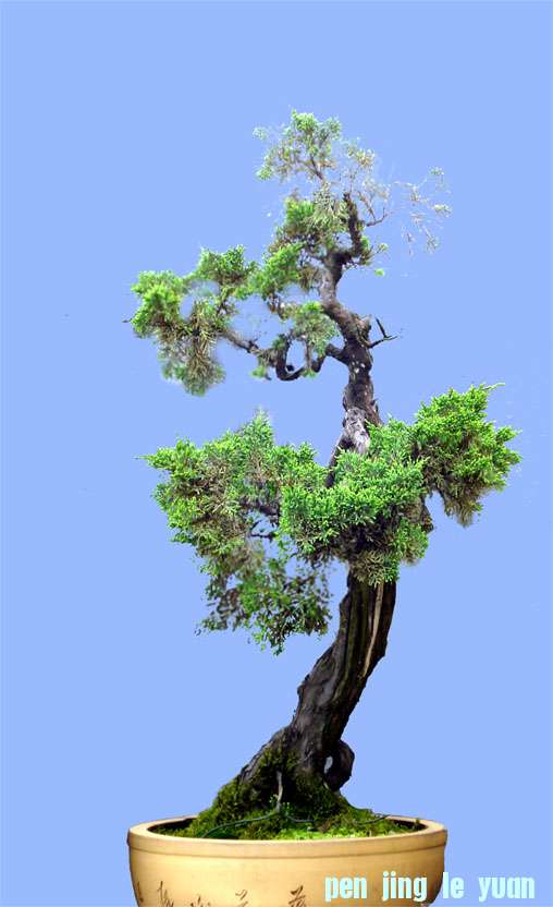 DSC06153 ���� 2.jpg