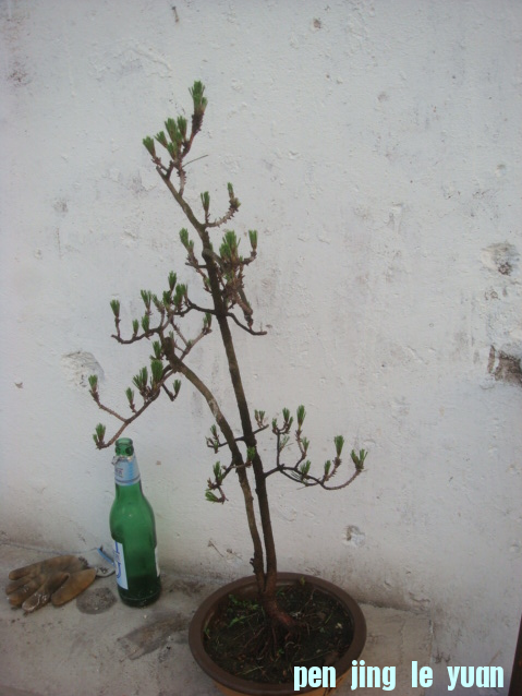 QQͼ20130521192411.png