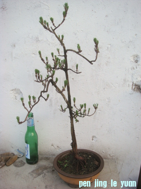 QQͼ20130521192324.png